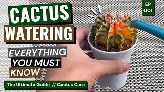 How and When to Water a Cactus  Cactus Care Ep 01 [upl. by Nnodnarb]