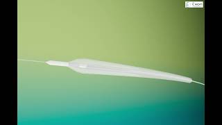 SWIFT Pre dilatation Balloon Catheter  Semi Compliant Balloon Catheter [upl. by Reinaldo328]