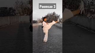 Poomsae 2 taekwondo full video taekwondo viral martialartspoomsae [upl. by Eivets]