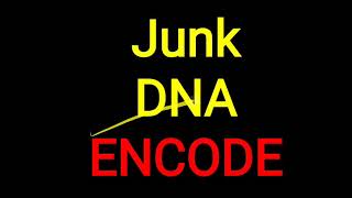 Junk DNA II ENCODE [upl. by Siskind740]