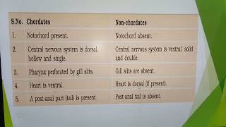 Difference between Chordates amp NonChordates [upl. by Suelo]