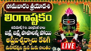 లింగాష్టకం  LINGASHTAKAM MONDAY SPECIAL POWERFUL BHAKTI SONGS 2024 [upl. by Tymes]