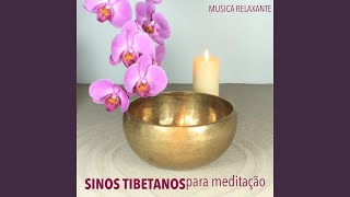 Musica Espiritual para Meditação Profunda [upl. by Llerahs]