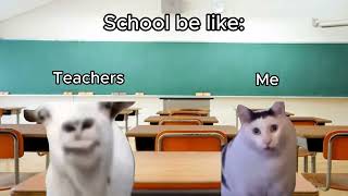 School be like Goat talking to clueless cat meme [upl. by Tuppeny]