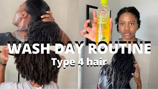 Wash Day Routine for Type 4 Hair  South African YouTuber [upl. by Yetty]