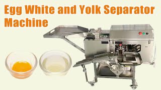 How to Separate the Egg Yolk from the Egg White Efficient Automated Egg Separator [upl. by Elleiad]