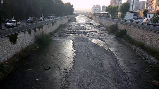 Selin geliş anı Dağdan gelen SEL 20 haziranda [upl. by Sukramed]