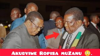 Chiwenga  Mnangagwa At Each Others Throat 😳 [upl. by Abshier980]