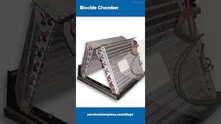 Biocide Chamber and what it does [upl. by Lekcim]