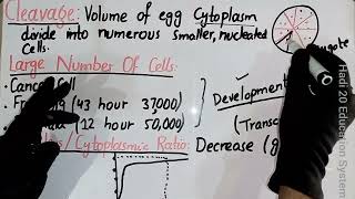 Cleavage  Embryology  Lecture No 01  Developmental Biology  Chapter No 05  BS Zoology  MSc [upl. by Suoivatram398]