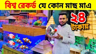 Aquarium Price In Bangladesh🐠Aquarium Fish Price In Bangladesh 2024😱 Aquarium Fish Price In katabon [upl. by Aiykan]