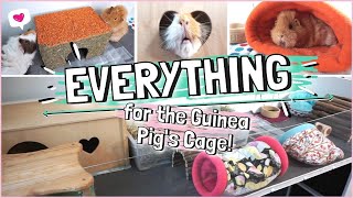 The BEST Cage Accessories for Guinea Pigs [upl. by Iaht83]