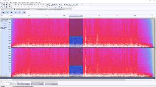 How to enable Spectrogram in Audacity [upl. by Meekah]