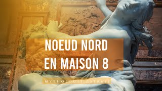 Nœud nord en maison 8  la voie de la transformation [upl. by Odie]