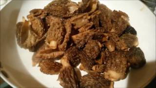 How to Prep and Cook Morel Mushrooms aka Morchella 7min 11sec video [upl. by Nivlem]