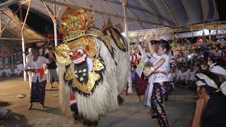 Barong Dance  118 sisia [upl. by Naerb]