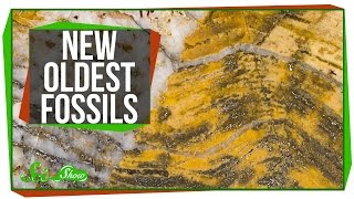 The Oldest Fossils Ever Found [upl. by Calise]