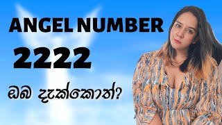 ANGEL NUMBER 2222 ඔබ දැක්කොත් [upl. by Adelaja]