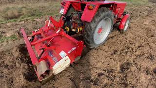 Władimiriec T25 Z Glebogryzarka YANMAR AKCJA UGÓR🇵🇱🚜 [upl. by Wrand]