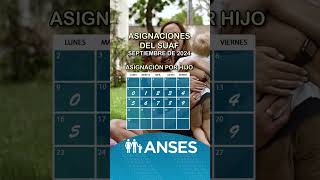 Fechas de pago de Anses al SUAF en septiembre de 2024 anses [upl. by Aikenahs718]