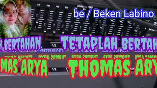 KARAOKE  tetaplah bertahan Thomas Aryaoriginal [upl. by Quiteria]