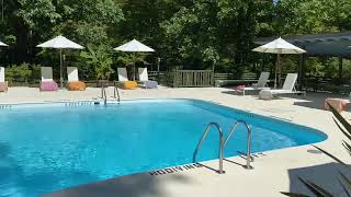 Troutbeck Amenia NY… the family pool [upl. by Eibbed]