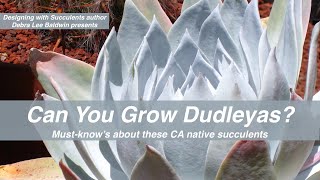 About Dudleyas Plant Care and Info [upl. by Christophe]