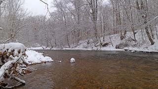 4K Snow Falling By Winter Forest River  Relaxing Water Sounds  Ultra HD [upl. by Behn]