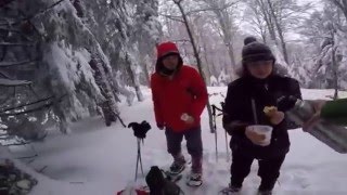 Balade en raquettes à neige Vosges Alsace [upl. by Noet]