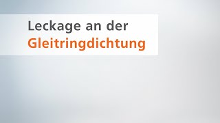 Anlagencheck  Teil 5 Leckage an der Gleitringdichtung [upl. by Barbur]