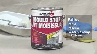 How To Apply Zinsser Mould Stop Primer [upl. by Kloster]