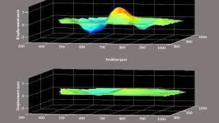 Cochlear traveling wave in vivo [upl. by Enilauqcaj]