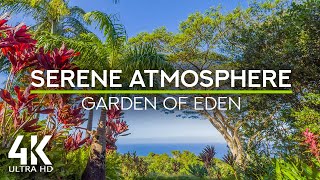 10 HRS Gentle Tropical Birds Chirping for Rest amp Relax  4K Serene Atmosphere of the Garden of Eden [upl. by Sesylu31]