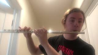 Littleroot Town Theme on Flute [upl. by Eirollam858]