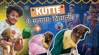 कुत्ते🐶मे मनाया Happy🎆Diwali  comedy diwalicomedy [upl. by Schulein888]