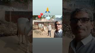 🙂🙂🙂🙂🙂 gay ki acchi nasl ki video ke sath Satish Tomar Bhagwat [upl. by Anoval]