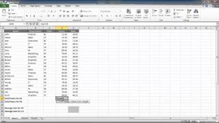 How to use SUMIF and AVERAGEIF in Excel 2010 [upl. by Maynord]