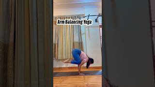 Arm Balancing Yoga Poses yogadaily armstrength yogamotivation shortsyoutube yogavideos [upl. by Schaper]