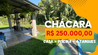 CHÁCARA COM CASA ALVENARIA  PISCINA  4 TANQUES  R 25000000 [upl. by Grados]