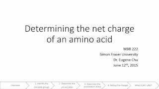 Charge of an amino acid [upl. by Notnarb]