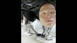 Large kinetic heads curation art kineticart curator interactiveart [upl. by Arytal]