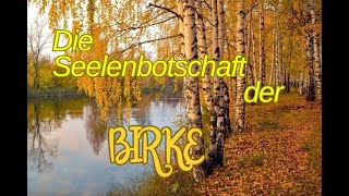 Die Seelenbotschaft der Birke [upl. by Zerlina967]