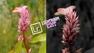 Lightroom editing 2024  Colour grading photoediting [upl. by Dleifxam783]