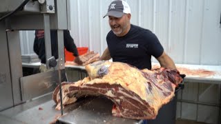 Beef Butchering Process START to FINISH [upl. by Frear]