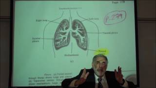 RESPIRATORY PHYSIOLOGY PLEURAL MEMBRANES INTRAPLEURAL PRESSURE amp VALSALVA MANEUVER by Professor F [upl. by Olegna]