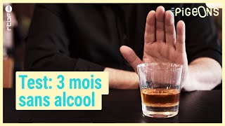 3 mois sans alcool  quel impact sur la santé   On nest pas des Pigeons [upl. by Ysabel227]