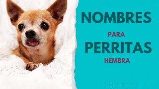 NOMBRES para perritas HEMBRA 🐕❤️ [upl. by Kohn490]