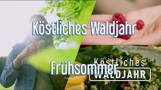 Köstliches Waldjahr  Frühsommer [upl. by Eked]