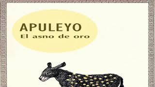 Resumen del libro El asno de oro Lucio Apuleyo [upl. by Donia794]