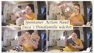 Spontaner ActionHaul  Noch mehr Dinos  Reborn Baby Deutsch  Little Reborn Nursery [upl. by Amabelle273]